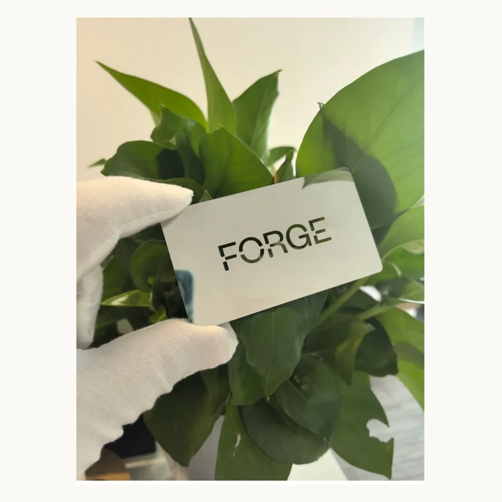 Photograph of Pale Metal FORGE Logo Card