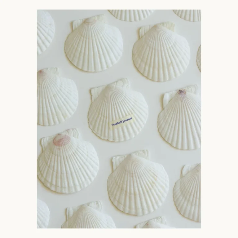Photograph of Shell-Inspired Notebook
