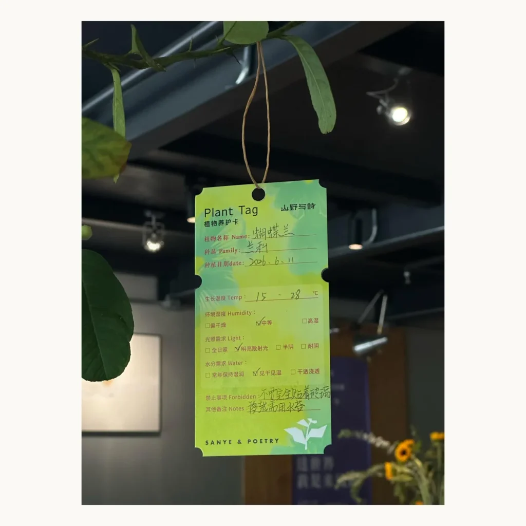Photograph of Green Plant Care Record Cards