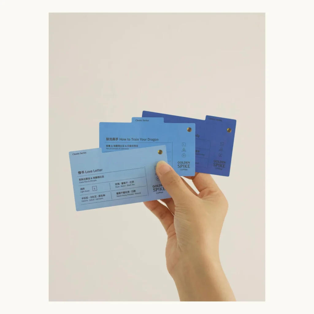 Photograph of Die-Cut Folder and Card Set