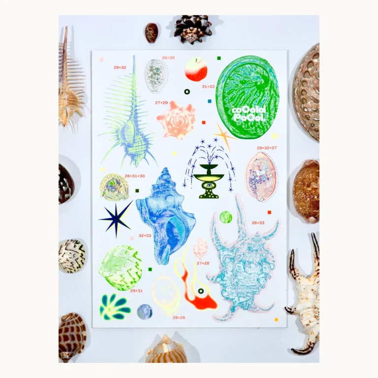 Photograph of Shell Specimen Risograph Art Print
