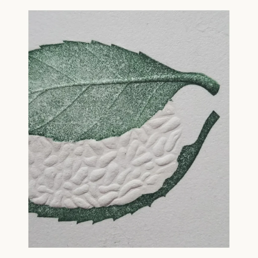 Photograph of Botanical Letterpress Relief Proof