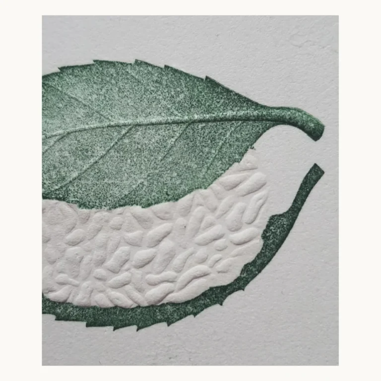 Photograph of Botanical Letterpress Relief Proof
