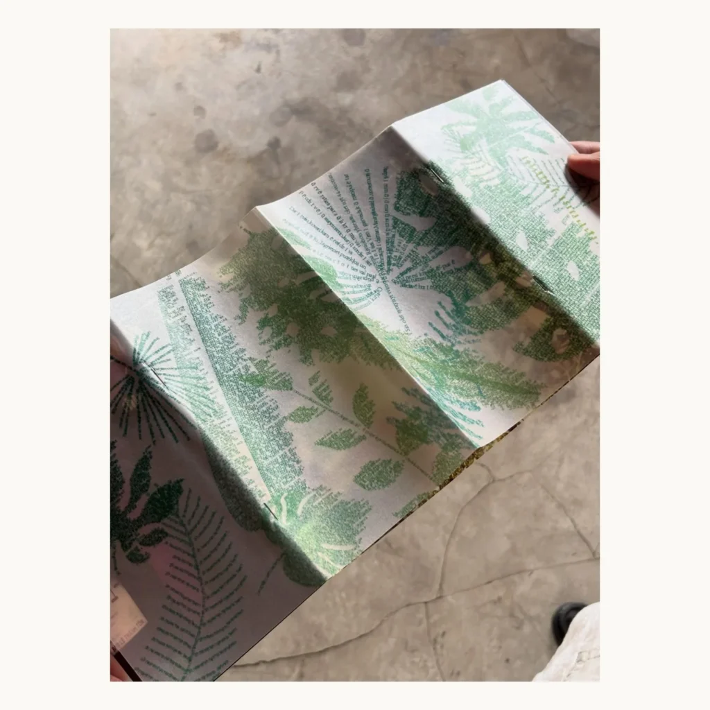 Photograph of Vellum Cover Picture Book