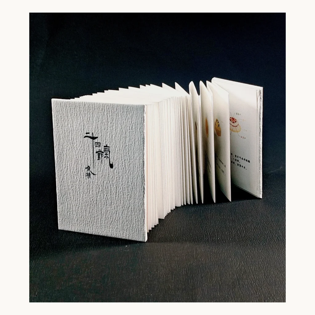 Photograph of Hardcover Accordion-Fold Book