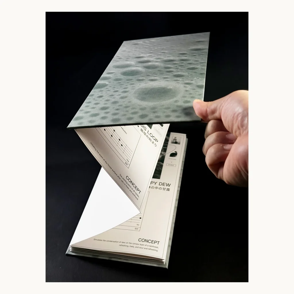 Photograph of Accordion-Fold Storage Book