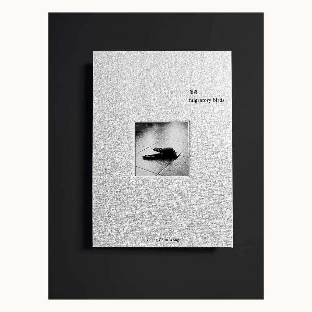 Photograph of Debossed Rough Paper Portfolio