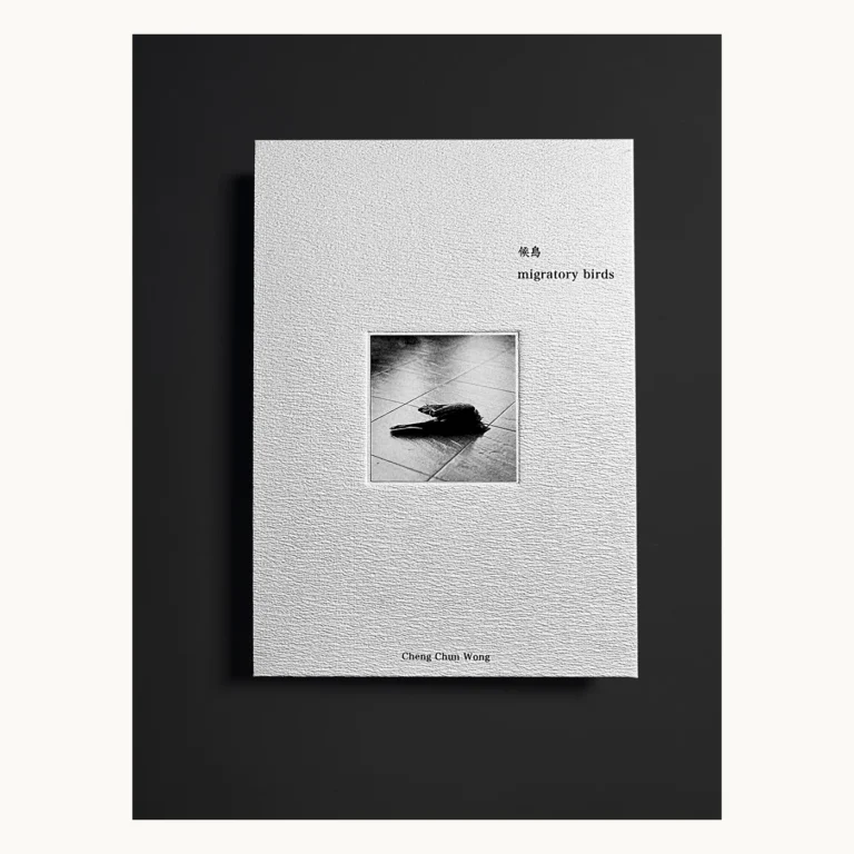 Photograph of Debossed Rough Paper Portfolio